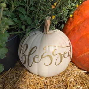 Meet your Posher, Lynn